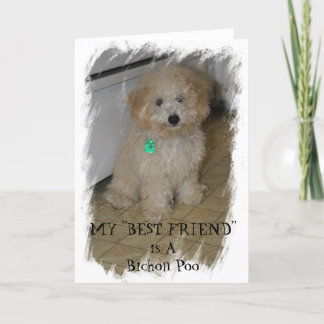 Tarjeta MI "MEJOR AMIGO" es un Bichon Poo