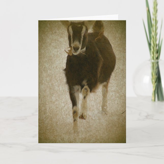 Tarjeta Mi Misha (Anverso)