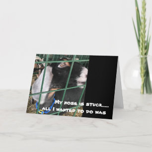 TARJETA MI NARIZ ESTÁ ARRASTRADA "TODO LO QUE QUIERO ES DE