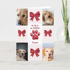 Tarjeta Mi perro es mi lazo de San Valentín 4 fotos