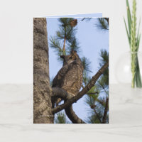 Mi vecino del bosque