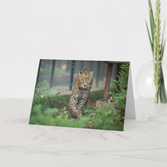 Tarjeta Mia - (Anverso)