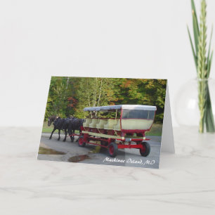 Tarjeta michigan_trip 024, isla de Mackinac, MI