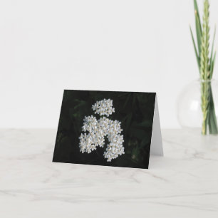 Tarjeta Milenrama Notecard