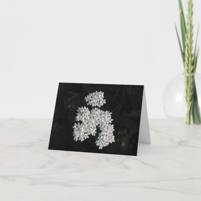 Tarjeta Milenrama Notecard (Anverso)