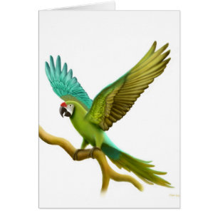 Tarjeta militar del Macaw