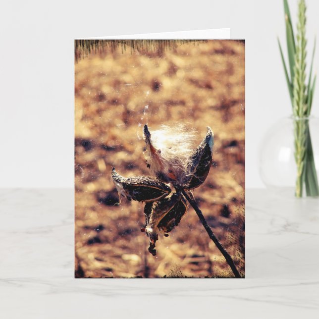 Tarjeta Milkweed Grunge (Anverso)