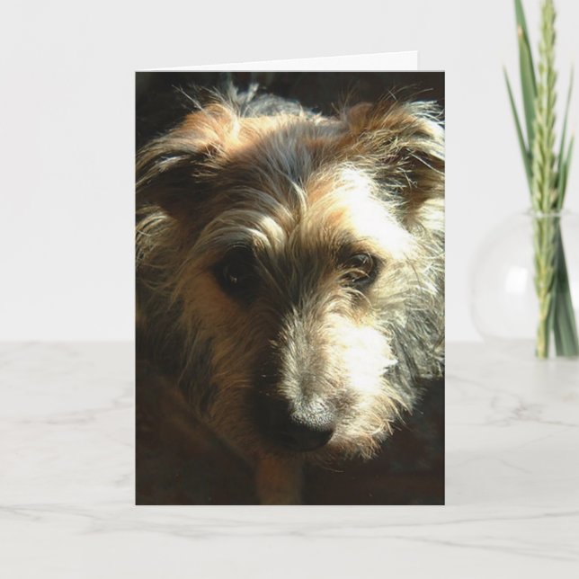 Tarjeta Millas (Anverso)