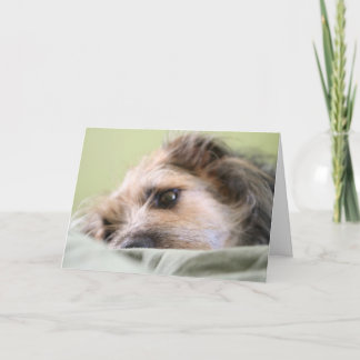 Tarjeta Millas que reflexionan