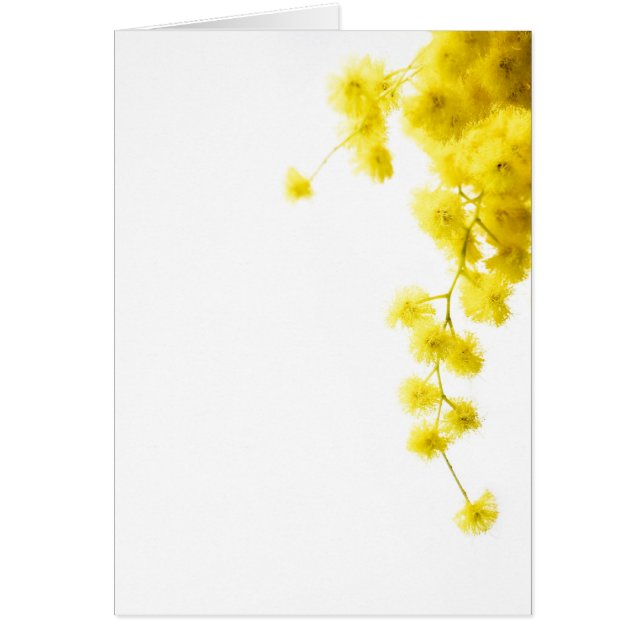 Tarjeta Mimosa (Frente)