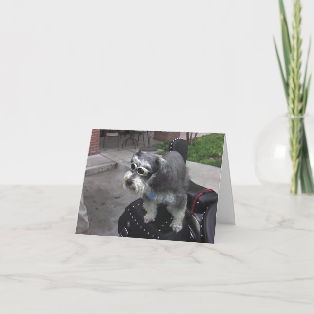 Tarjeta Minature Schnauzer BIKER (Anverso)