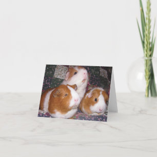 Tarjeta Minerva y amigos Notecard