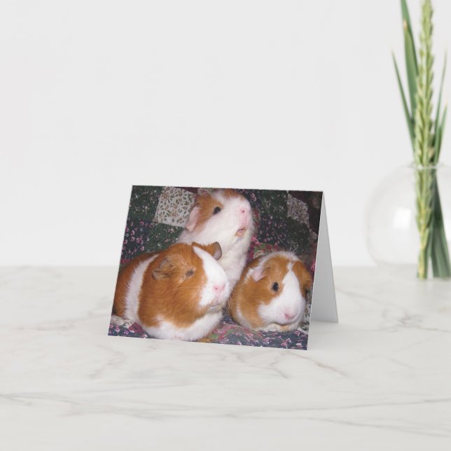 Tarjeta Minerva y amigos Notecard (Anverso)