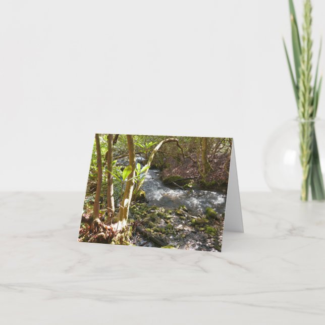 Tarjeta Mingus Creek en Smoky Mountains (Anverso)