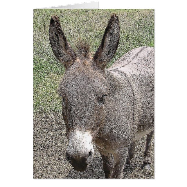 tarjeta - Mini-burro (Frente)
