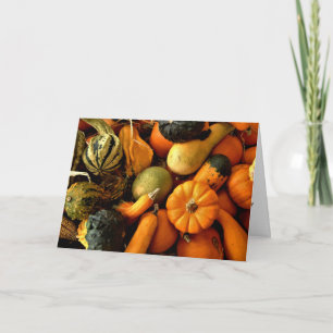 Tarjeta Mini Calabazas Y Gourds Variación Fall Foto 2