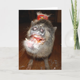 Tarjeta Mini Cerdo Feliz Cumpleaños Personalizado