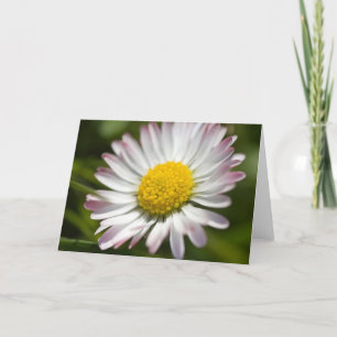 Tarjeta Mini Daisy Greetings