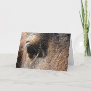 Tarjeta Mini Mare Eye