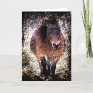 Tarjeta Mini Mare Grunge