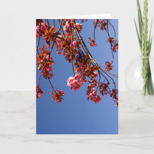 Tarjeta Minimalismo Flores Rosadas Flor de Cerezo Amor Esp