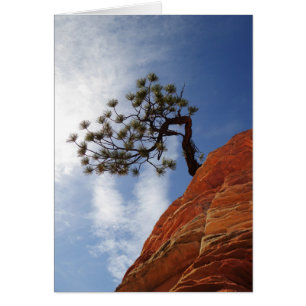 Tarjeta minimalista del parque nacional Zion de Bo