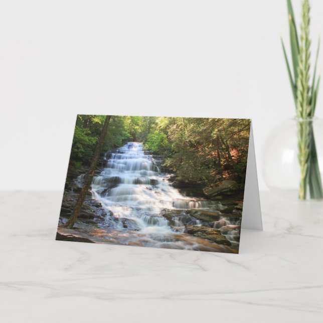 Tarjeta Minnehaha (Anverso)