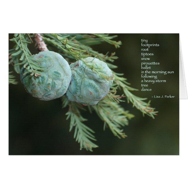 Tarjeta minúscula del poema de las huellas (Anverso (Horizontal))