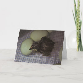 Tarjeta Minutos de antigüedad