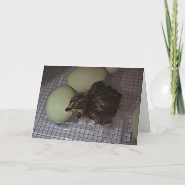 Tarjeta Minutos de antigüedad (Anverso)