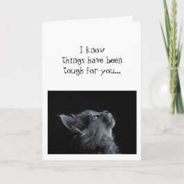 Tarjeta Mira hacia arriba, ánimo de Dios Gato animal