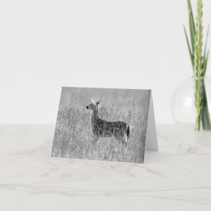 Tarjeta Mirada del cervatillo