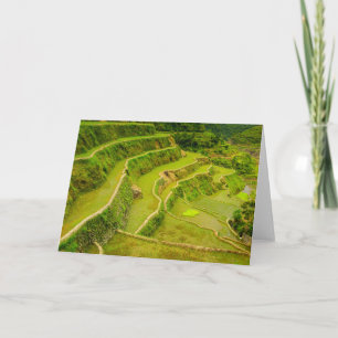 Tarjeta Mirando Abajo Los Campos De Arroz