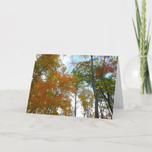 Tarjeta Mirando hacia arriba a las hojas de otoño I Follaj