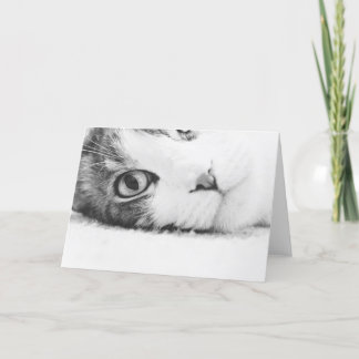 Tarjeta Mirándole, greetingcard vacío