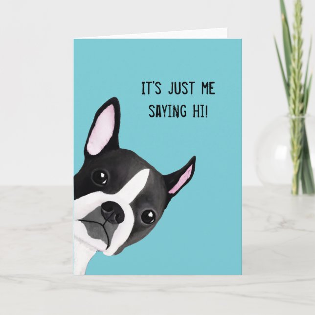 Tarjeta Mirar a escondidas Boston Terrier ilustró la (Anverso)