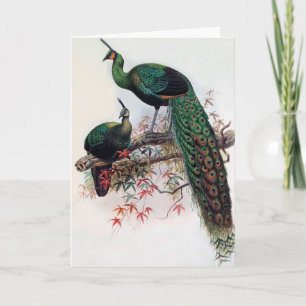 Tarjeta Mis mejores deseos, amigos, familia, Peacock