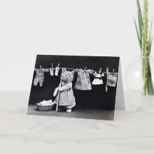 Miss Kitten Haciendo Lavandería