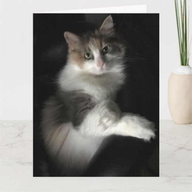 Tarjeta miss kitty (Anverso)