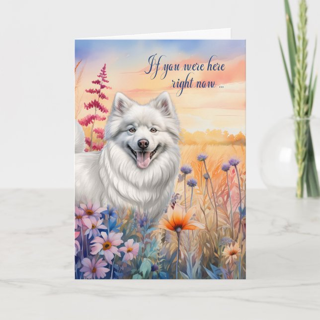 Tarjeta Miss You American Eskimo Dog Wildflower Meadow (Anverso)