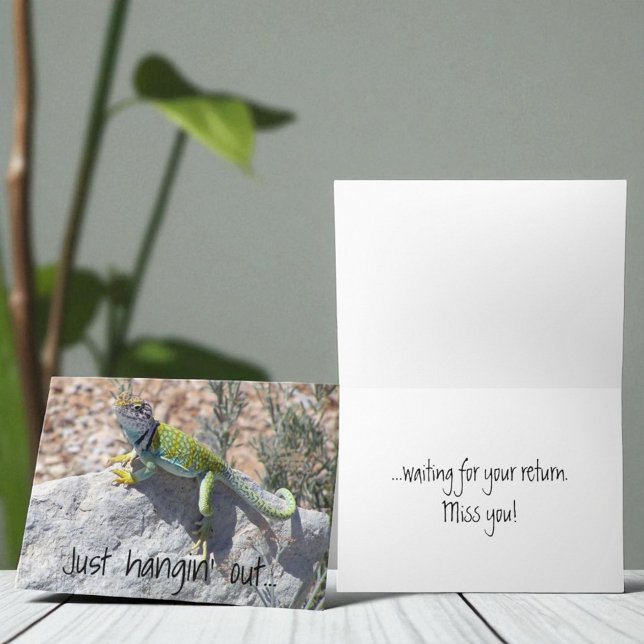 Tarjeta Miss You Lizard Sunbathing Añadir su foto (Replaceable cover photo and template cover and inside text)