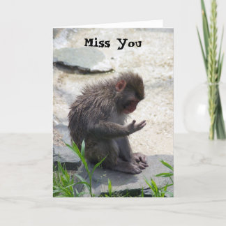 Tarjeta Miss You Monkey Card