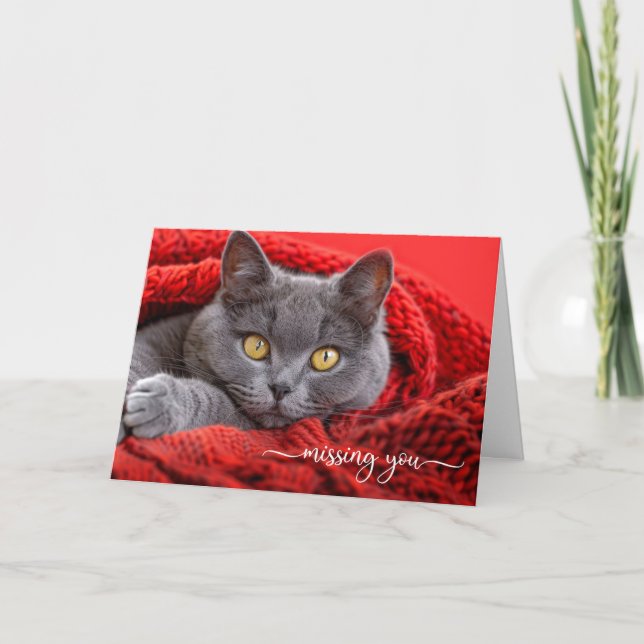 Tarjeta Missing You Gray Cat in a Red Knit Afghan (Anverso)