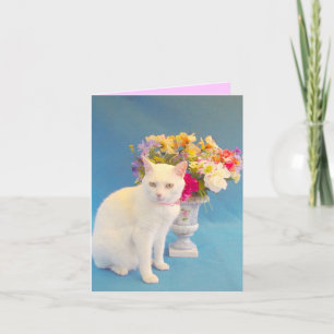 Tarjeta Missy Notecard