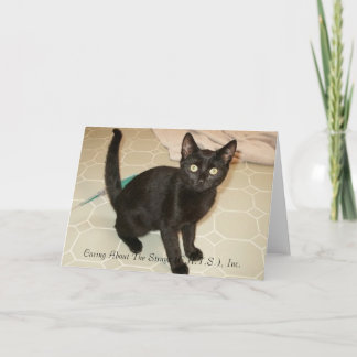 Tarjeta Missy Notecards