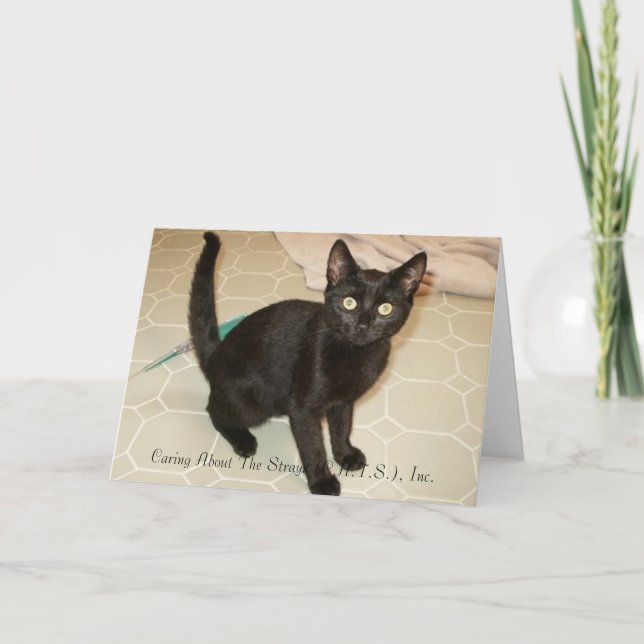 Tarjeta Missy Notecards (Anverso)