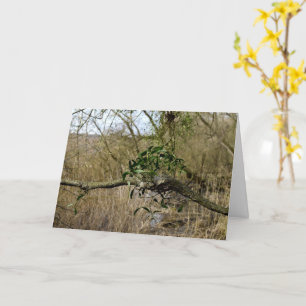 Tarjeta Mistletoe
