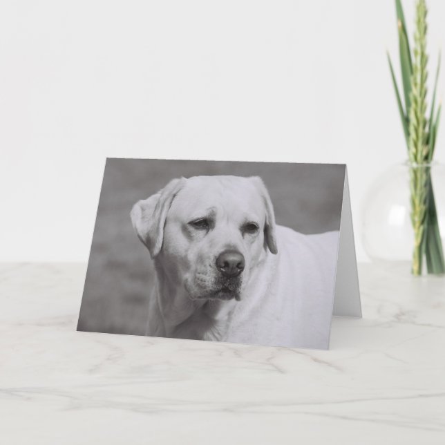 Tarjeta Misty (Anverso)