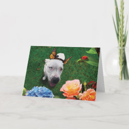 Tarjeta Mitzy la Mariposa, perro con alas de mariposa