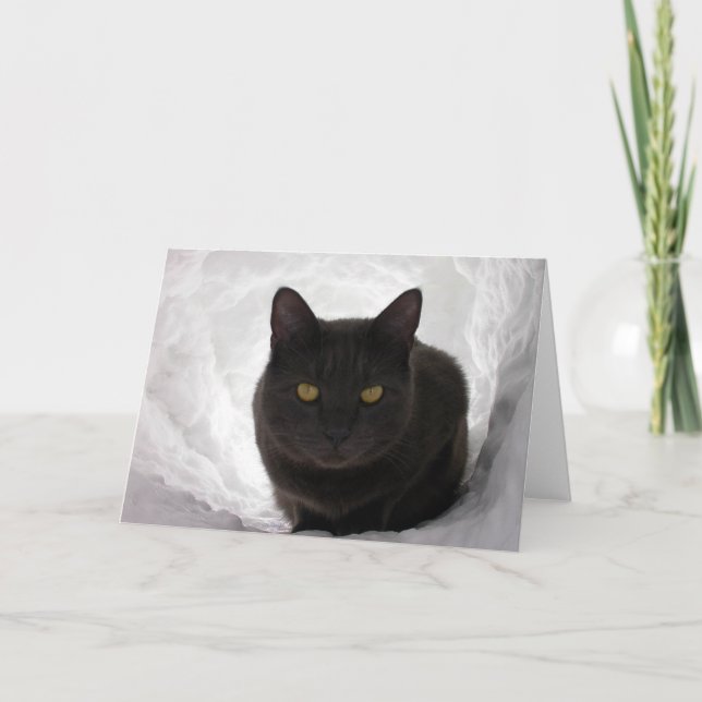 Tarjeta Moby en nieve (Anverso)